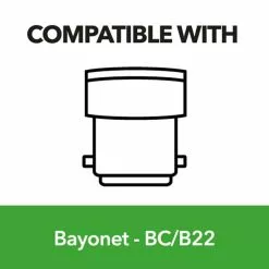 Status 3 Watt BC LED Colour Changing GLS Bulb -Dunelm Garden Store 1000073776 alt09