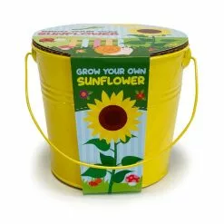 Churchgate Kid's Grow Your Own Sunflowers Kit -Dunelm Garden Store 1000183725 alt02