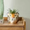 Dunelm Ceramic Tiger Head Pot 12cm