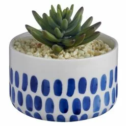 Dunelm Coastal Dottie Mini Succulent -Dunelm Garden Store 30729960 alt02