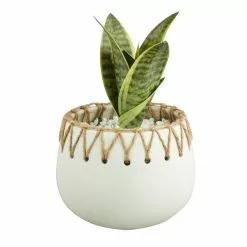 Dunelm Jute Detailed Pot With Plant -Dunelm Garden Store 30729982 alt02
