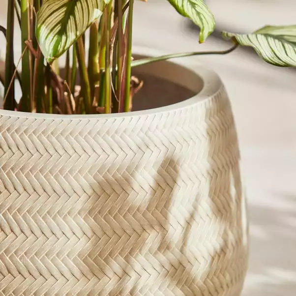Dunelm Large Beige Fibre Clay Pot With Bamboo Finish 2 Dunelm Large Beige Fibre Clay Pot With Bamboo Finish - Image 2