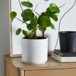 Dunelm Ceramic Plant Pot Luxe White