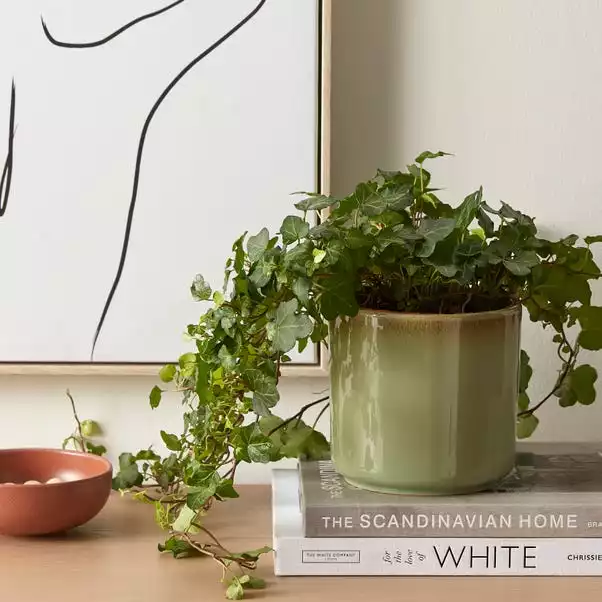 Dunelm Reactive Glaze Green Ceramic Plant Pot 1 Dunelm Reactive Glaze Green Ceramic Plant Pot