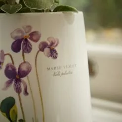 Natural History Museum Marsh Violet Ceramic Plant Pot 8 Natural History Museum Marsh Violet Ceramic Plant Pot -Dunelm Garden Store 30757824 alt02