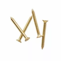 Dunelm Gold Door Knocker Screws
