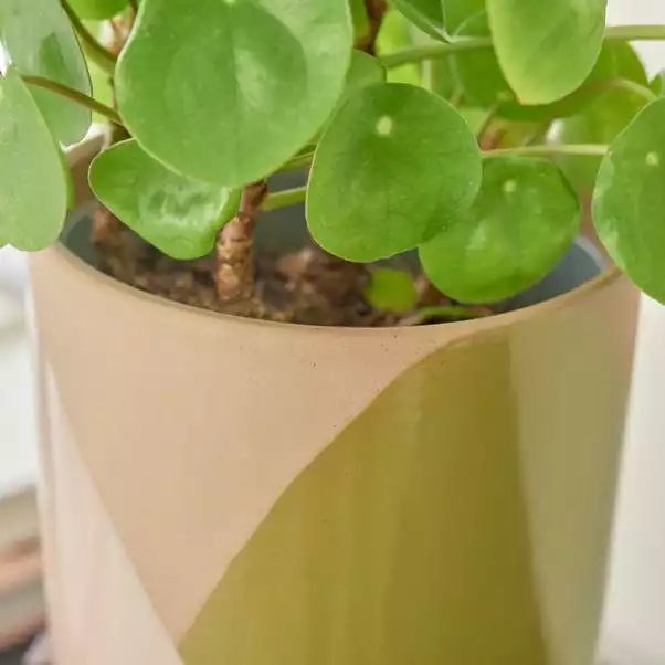 Elements Sculpted Green Plant Pot On Stand 3 Elements Sculpted Green Plant Pot On Stand - Image 3