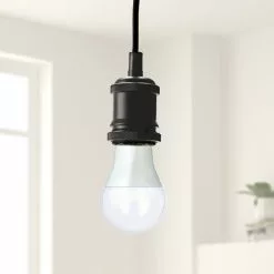 Status 6W Day Light Pearl BC GLS 2 Pack