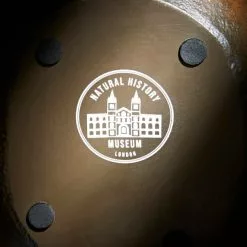 Natural History Museum Dodo Plant Pot -Dunelm Garden Store 30781920 alt03