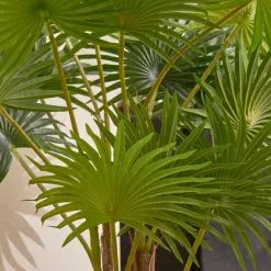 Dunelm Fan Palm Tree 100cm -Dunelm Garden Store 30792753 alt01