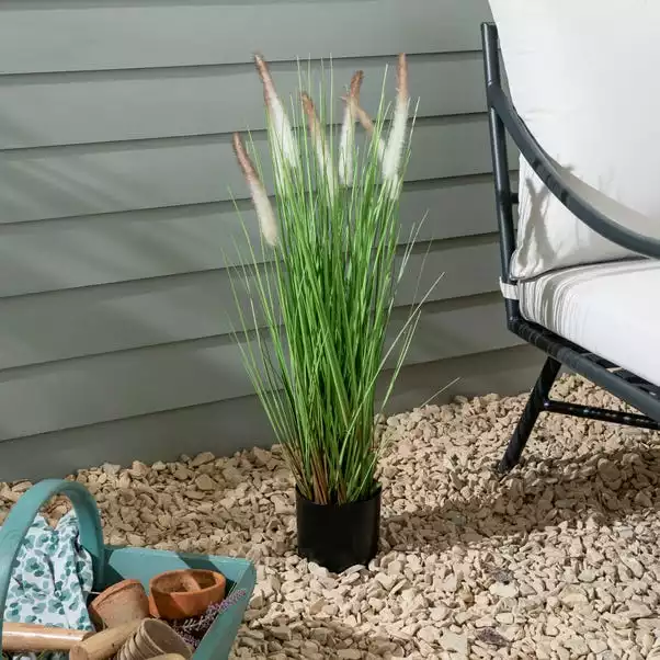 Dunelm Foxtail Potted Grass 80cm 1 Dunelm Foxtail Potted Grass 80cm
