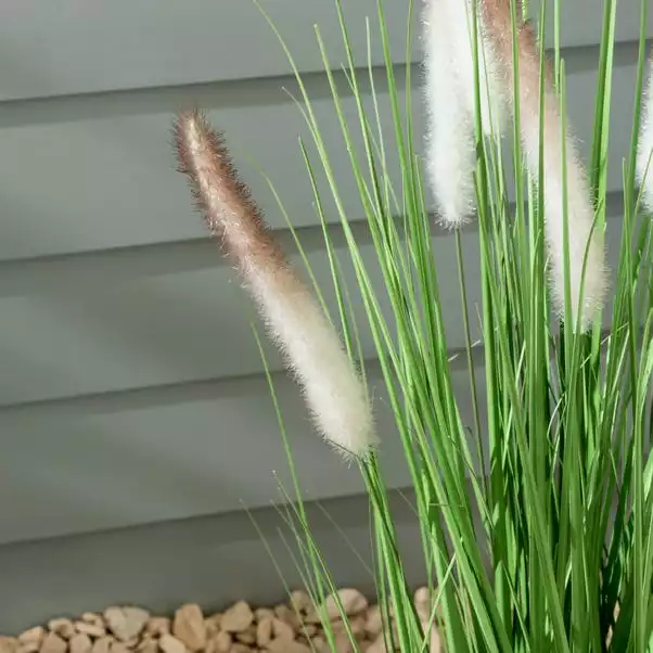 Dunelm Foxtail Potted Grass 80cm 2 Dunelm Foxtail Potted Grass 80cm - Image 2