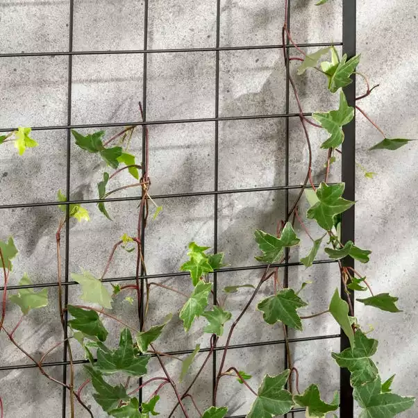 Dunelm Trellis Planter Self Assembly 2 Dunelm Trellis Planter Self Assembly - Image 2