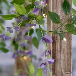 Dunelm Wisteria Solar Light Up Garland 3 Dunelm Wisteria Solar Light Up Garland -Dunelm Garden Store 30792778 alt02