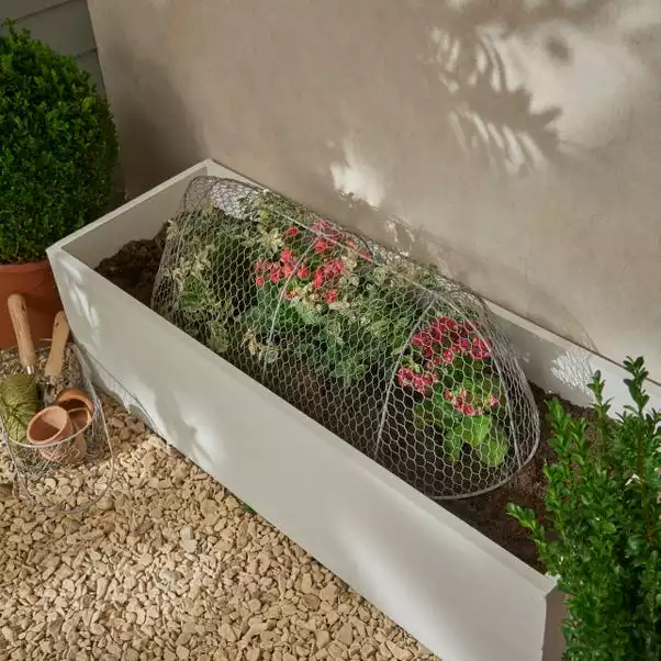 Churchgate Long Plant Cloche 1 Churchgate Long Plant Cloche