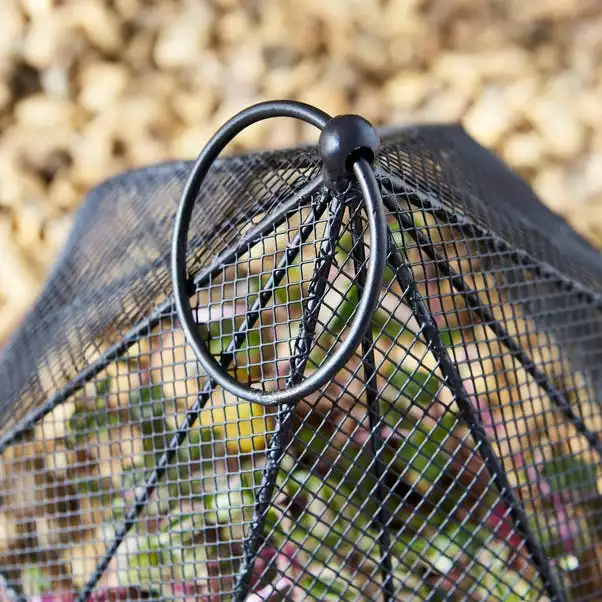 Natural History Museum Plant Cloche 2 Natural History Museum Plant Cloche - Image 2
