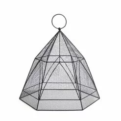 Natural History Museum Plant Cloche 5 Natural History Museum Plant Cloche -Dunelm Garden Store 30795309 alt02