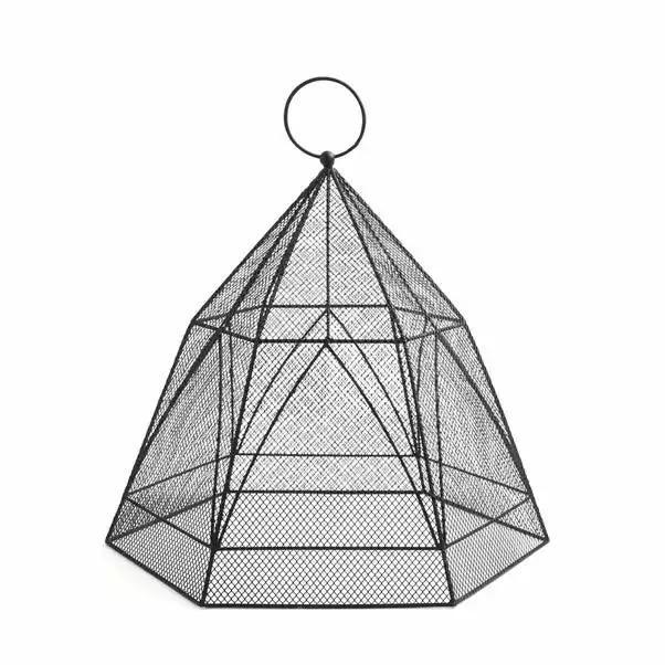 Natural History Museum Plant Cloche 3 Natural History Museum Plant Cloche - Image 3