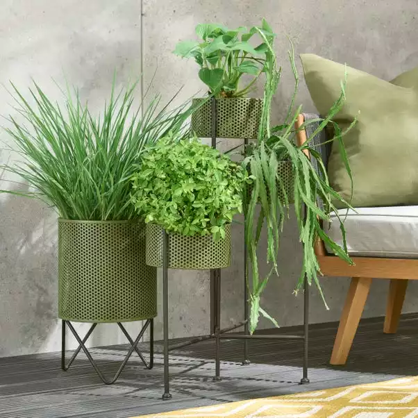 Elements Olive Foldable Plant Stand 3 Elements Olive Foldable Plant Stand - Image 3