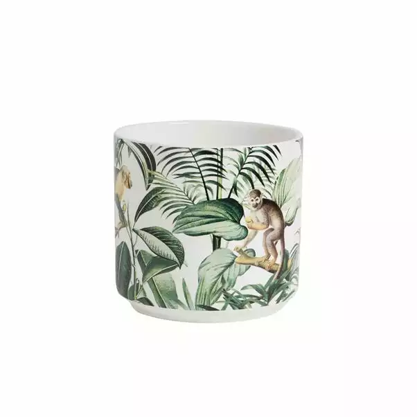 Dunelm Ceramic Plant Pot Monkey Large 22cm 2 Dunelm Ceramic Plant Pot Monkey Large 22cm - Image 2