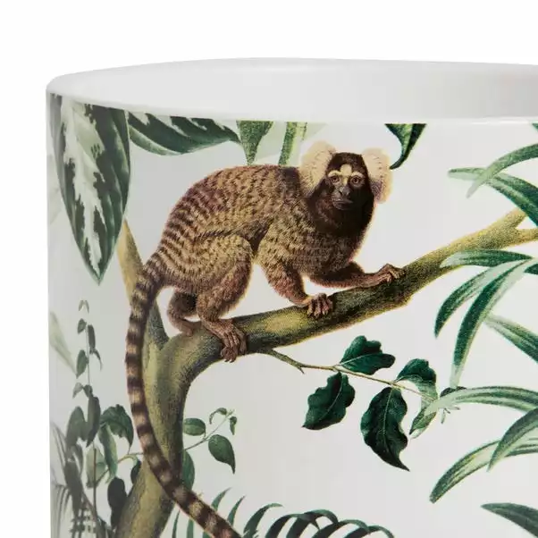 Dunelm Ceramic Plant Pot Monkey Large 22cm 3 Dunelm Ceramic Plant Pot Monkey Large 22cm - Image 3