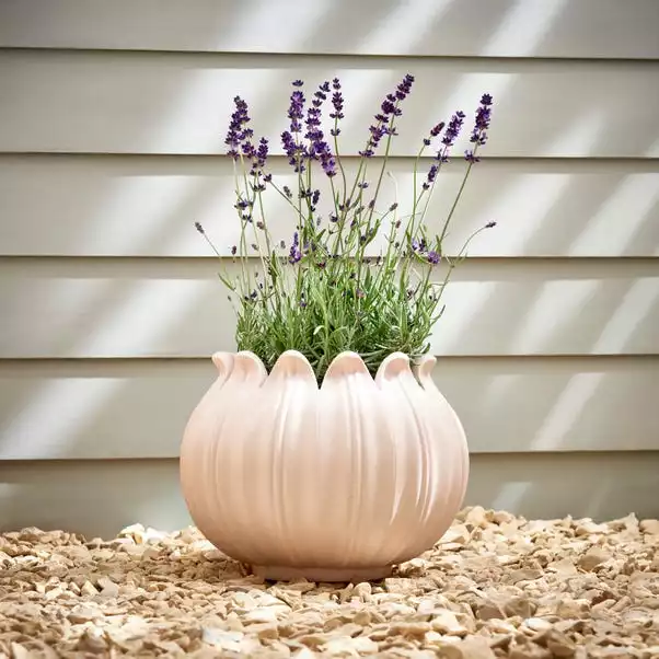 Dunelm Poppy Head Planter 1 Dunelm Poppy Head Planter