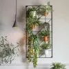 Cedar & Sage Bari 8 Wall Planters