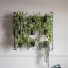 Cedar & Sage Bari 9 Wall Planters