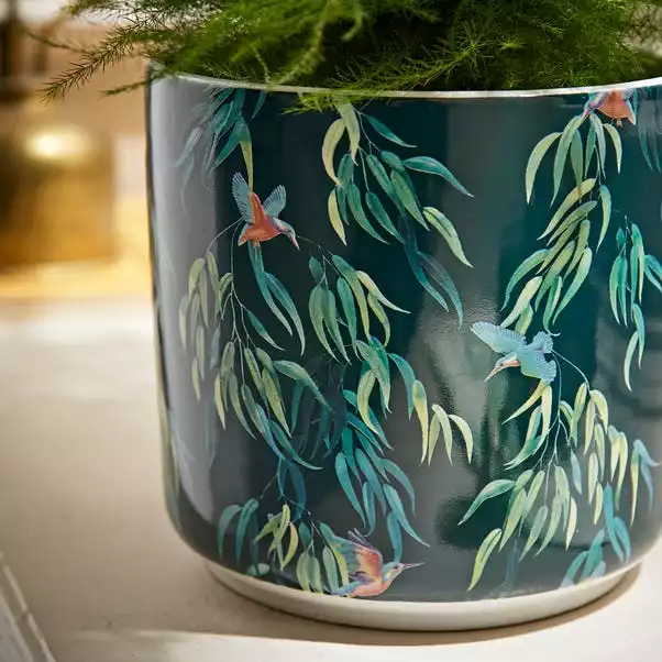 Natural History Museum Kingfisher Plant Pot Large 3 Natural History Museum Kingfisher Plant Pot Large - Image 3