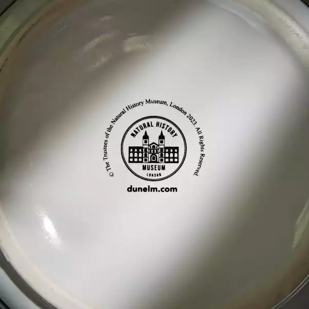 Natural History Museum Kingfisher Plant Pot Large 4 Natural History Museum Kingfisher Plant Pot Large - Image 4