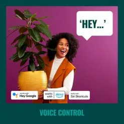 WiZ Connected WiZ 48ft Smart Ambient Outdoor String Lights 10 WiZ Connected WiZ 48ft Smart Ambient Outdoor String Lights -Dunelm Garden Store 30838383 alt05