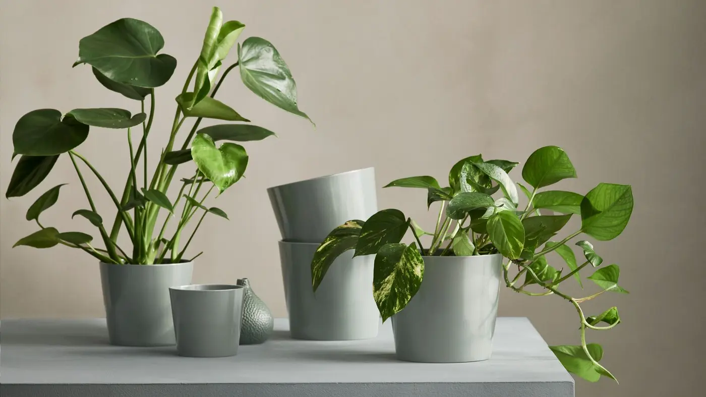 Dunelm Garden Store -Dunelm Garden Store flower pots planters pp004